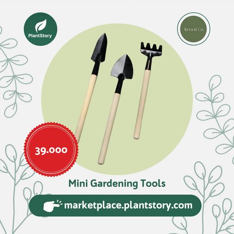 1 Set Mini Gardening Tools