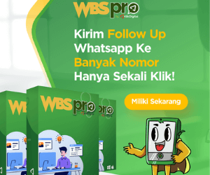WBS Pro V3