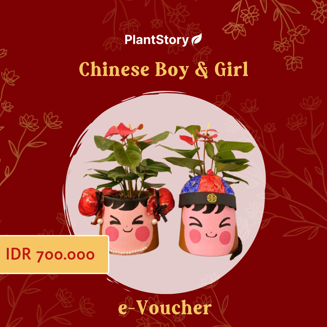 e-Voucher Chinese Boy and Girl / Chinese New Year Hampers