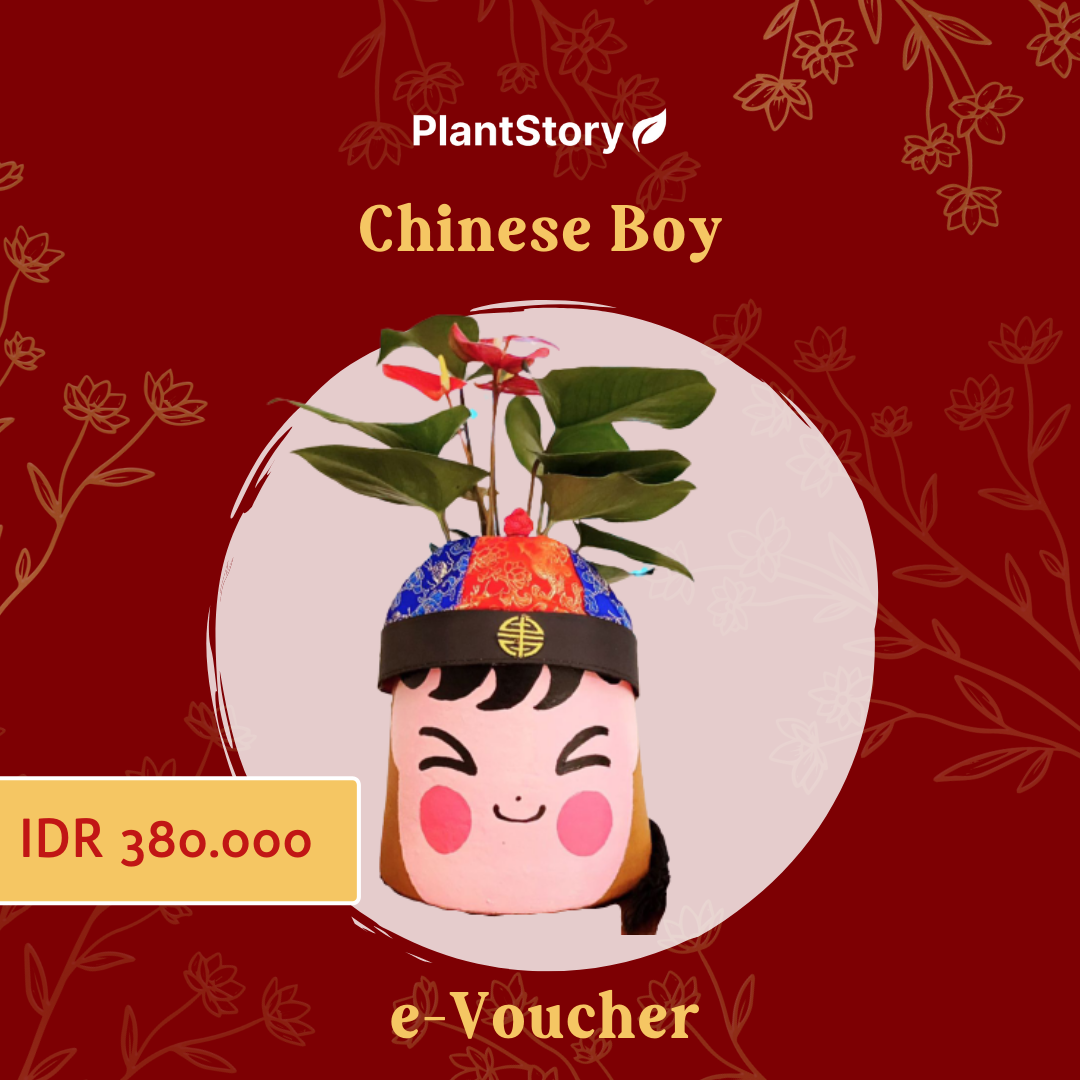 e-Voucher Chinese Boy / Chinese New Year Hampers