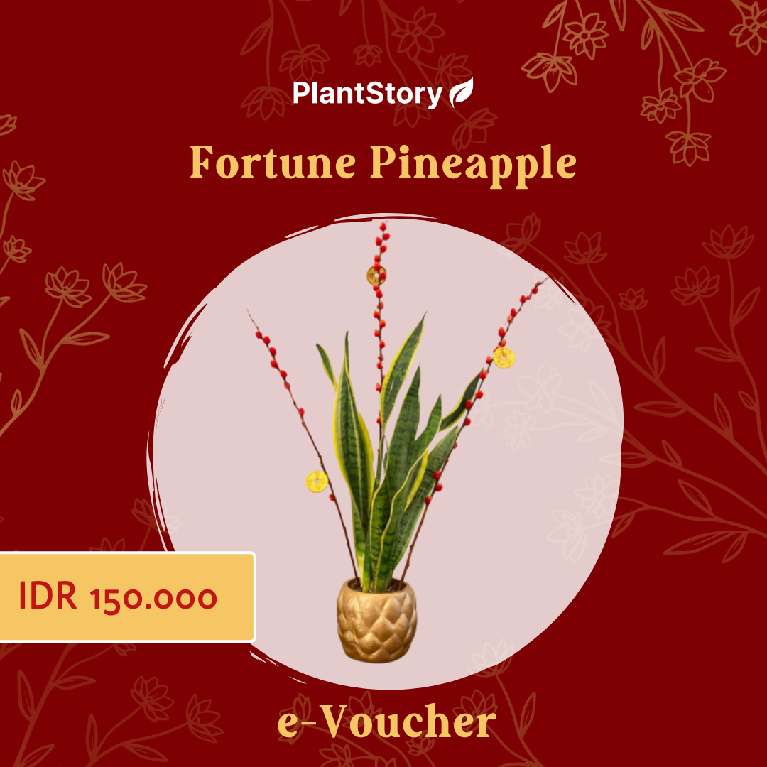 e-Voucher Fortune Pineapple / Chinese New Year Hampers
