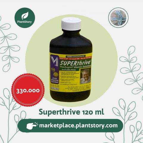 SUPERthrive 120 ml (Kemasan ORI)