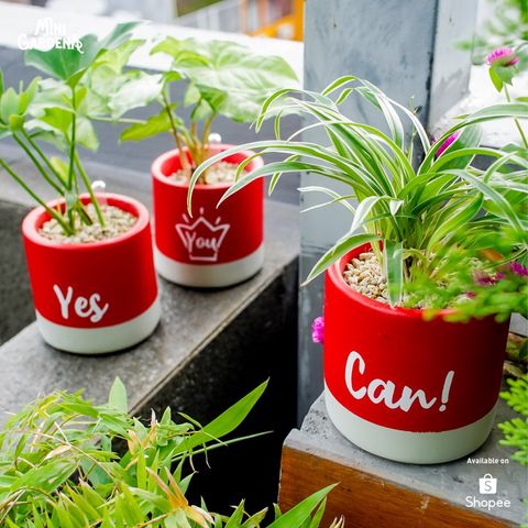 3 Pot Yes You Can Series