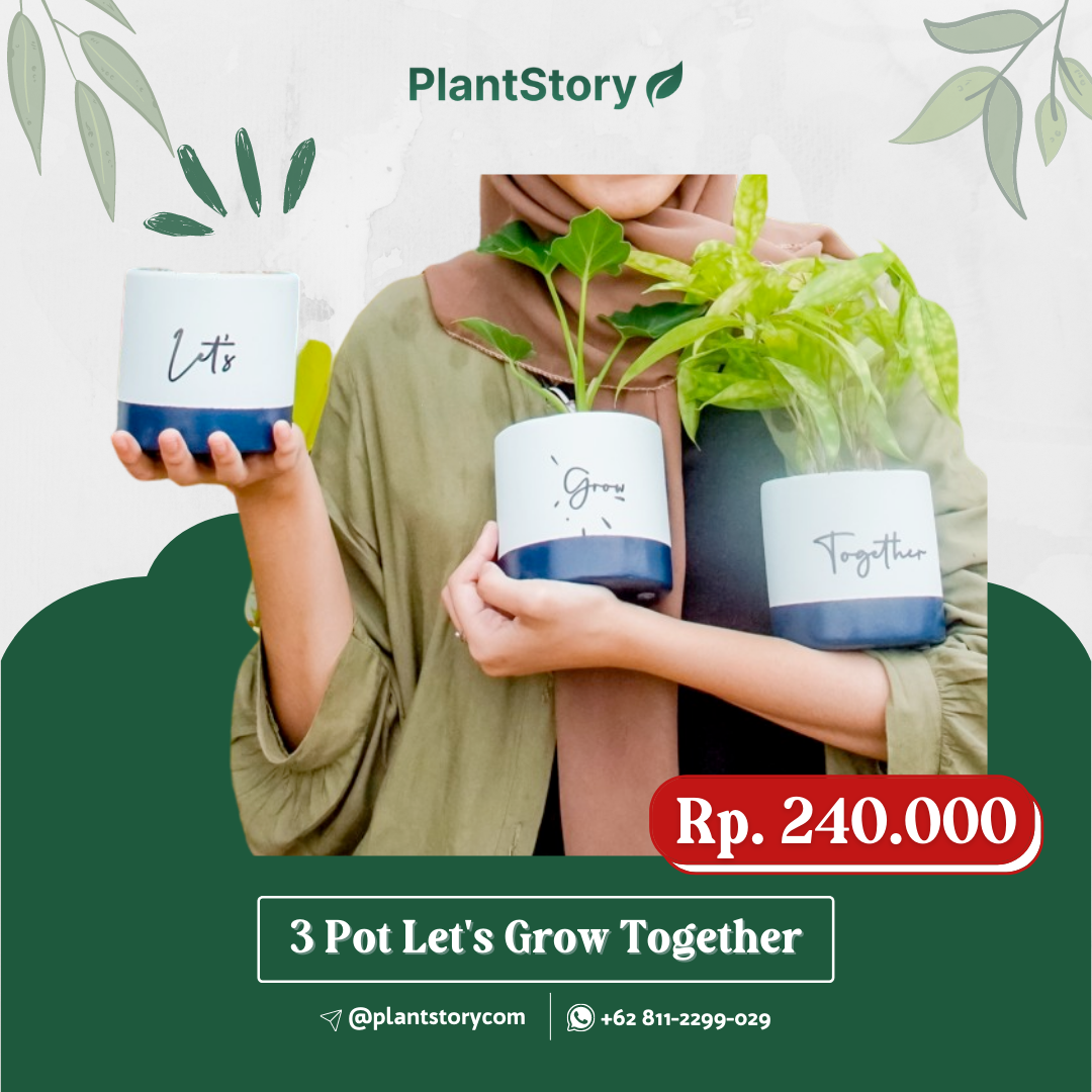 3 Pot Let's Grow Together Series