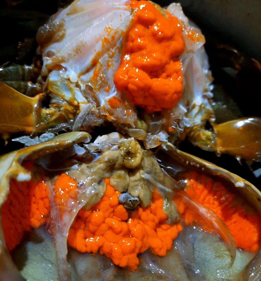 KEPITING TELUR SUPER