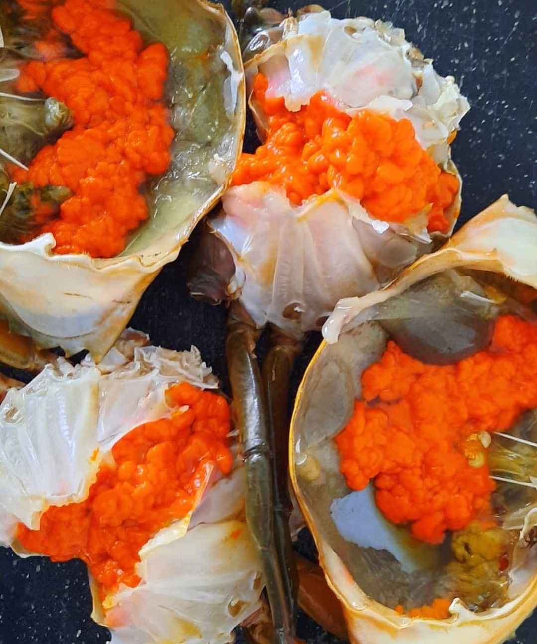 KEPITING TELUR SUPER