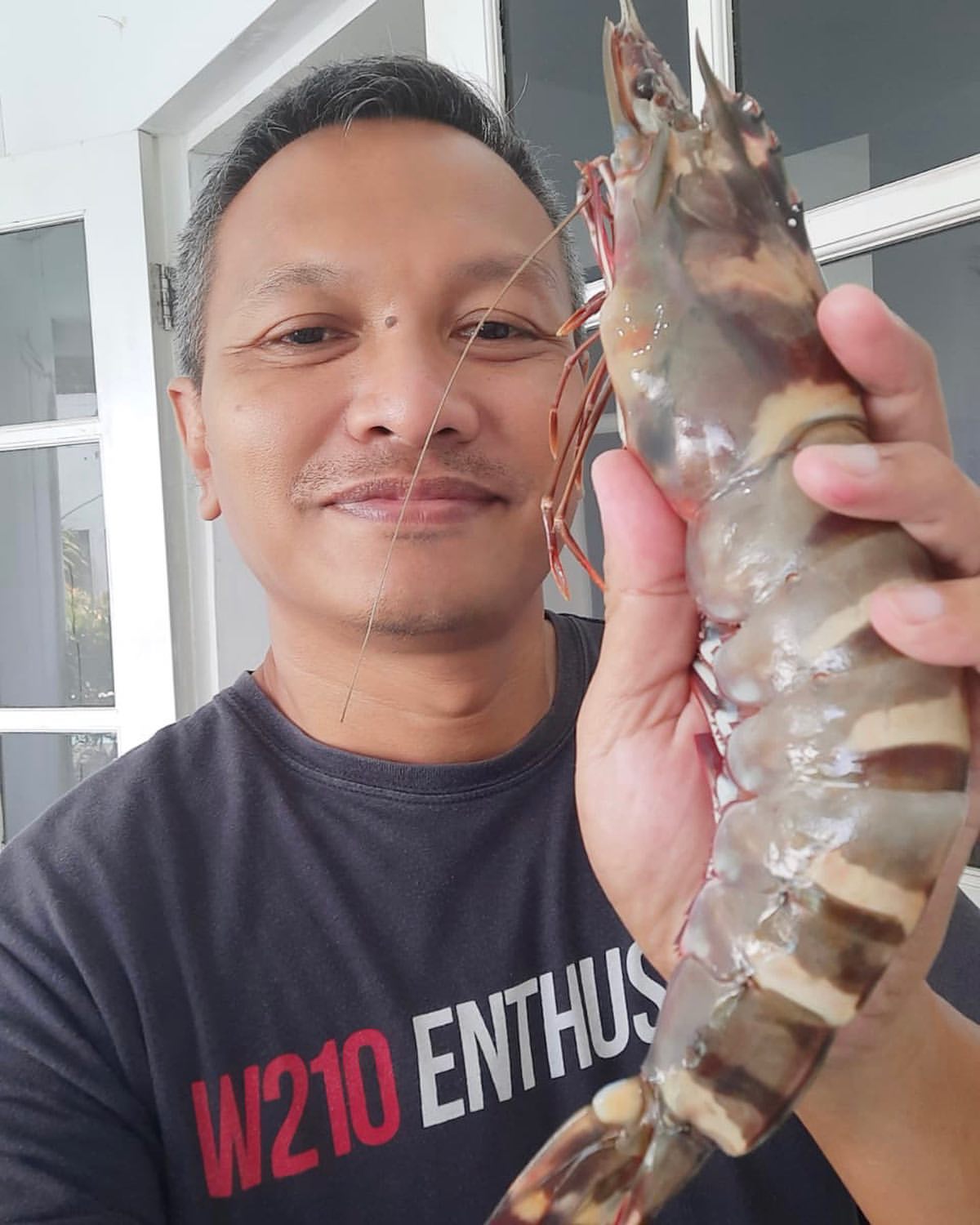 UDANG TIGER / GALAH