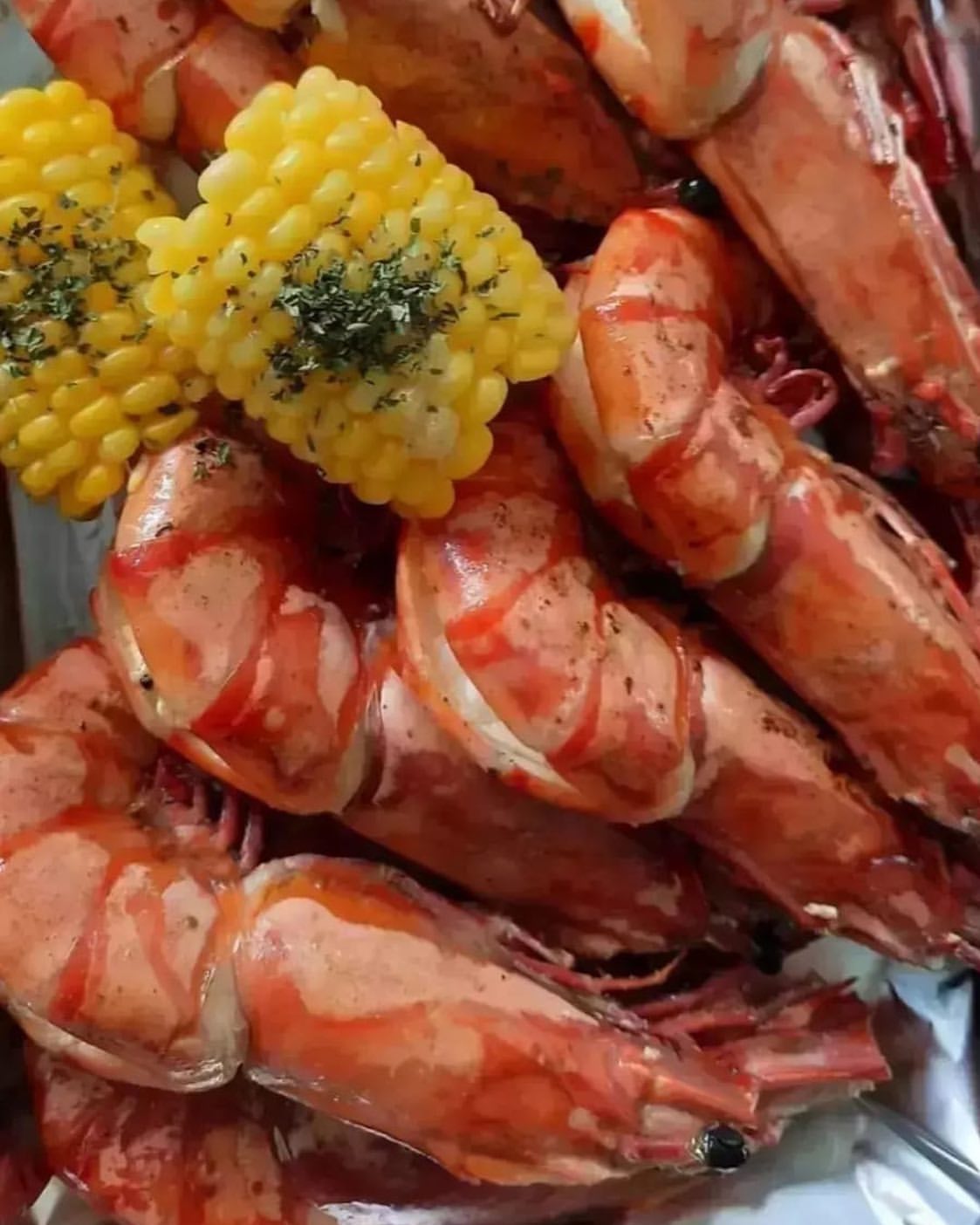 UDANG TIGER / GALAH