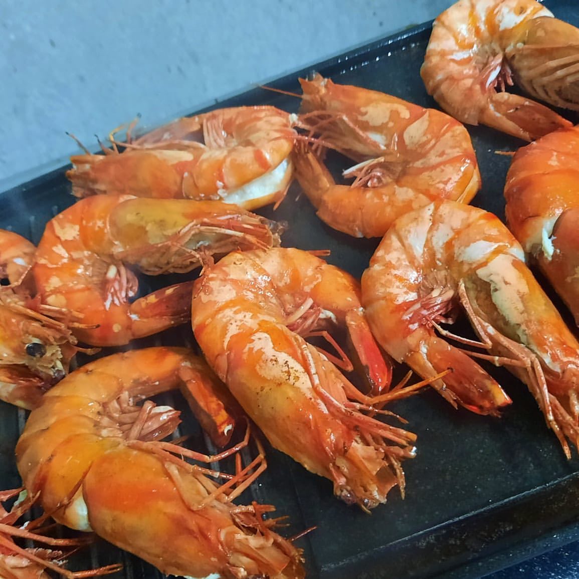 UDANG TIGER / GALAH