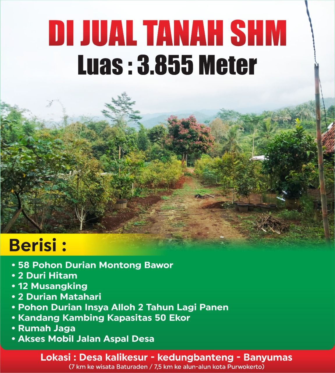 Jual Kebun Durian Dekat Baturaden Purwokerto