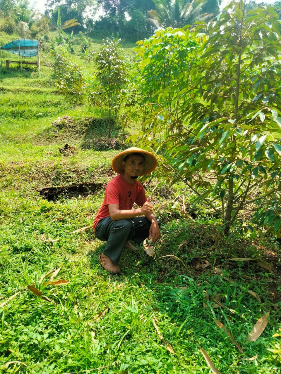 Jual Kebun Durian Dekat Baturaden Purwokerto