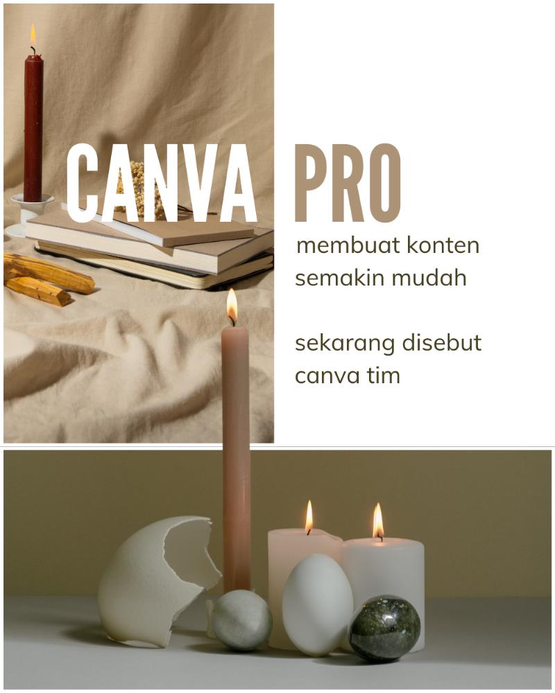 Canva Pro - Canva Tim (Pertahun)