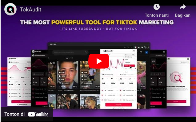 TokAudit | The only TikTok Marketing Tool you'll ever need!