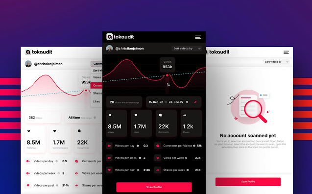TokAudit | The only TikTok Marketing Tool you'll ever need!