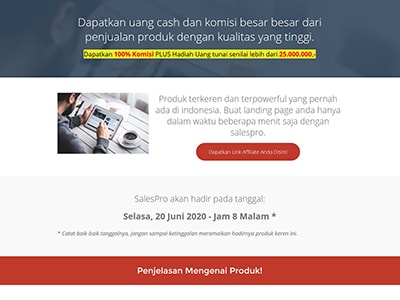 Salespro Wordpress Theme