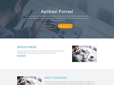 Salespro Wordpress Theme