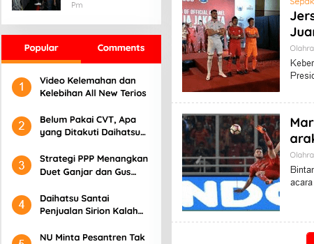 NewKarama - WordPress Themes 