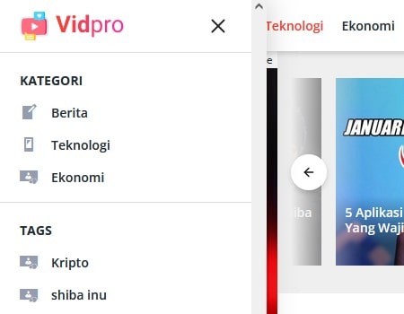 Vidpro - WordPress Themes