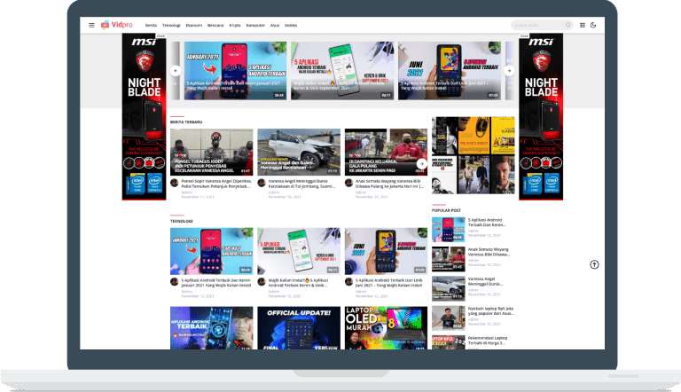 Vidpro - WordPress Themes