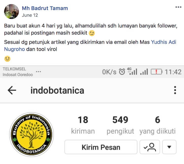 Virol - Tools instagram untuk riset konten