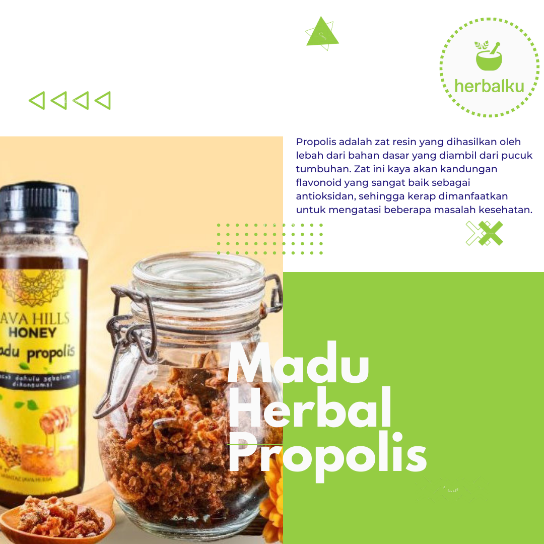Madu Propolis Herbal 350 Gram