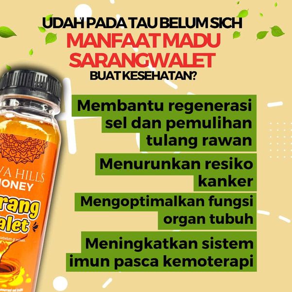 Madu Sarang Walet Herbal 330 Gram