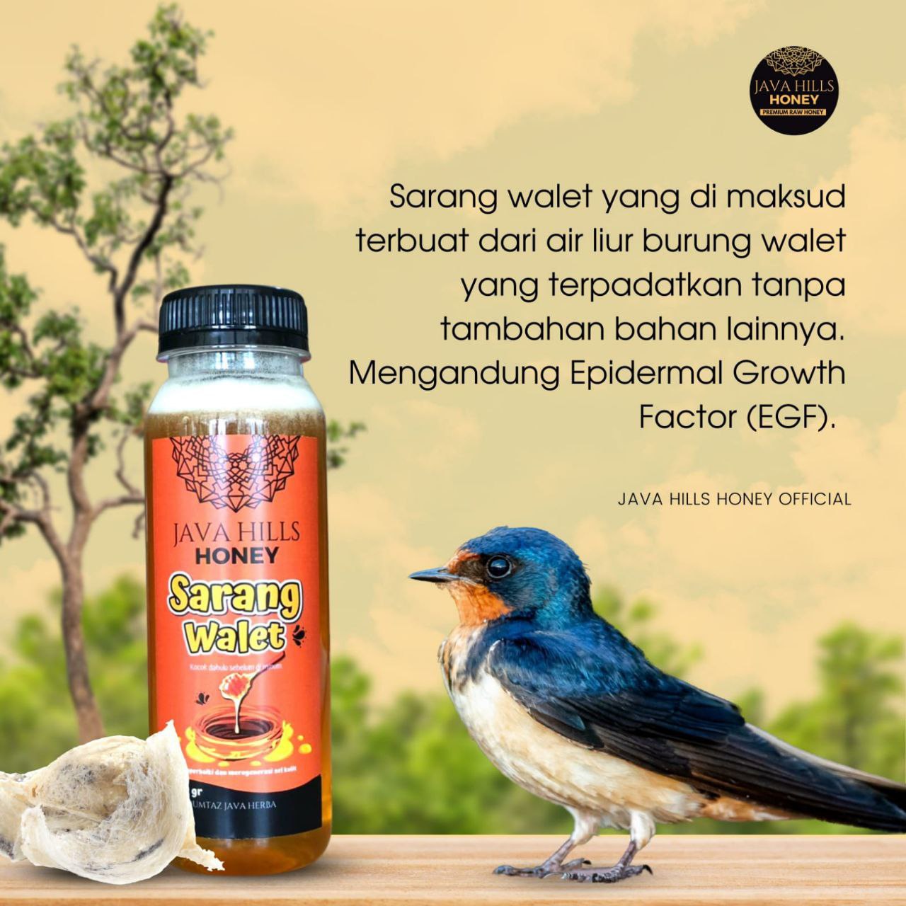 Madu Sarang Walet Herbal 330 Gram