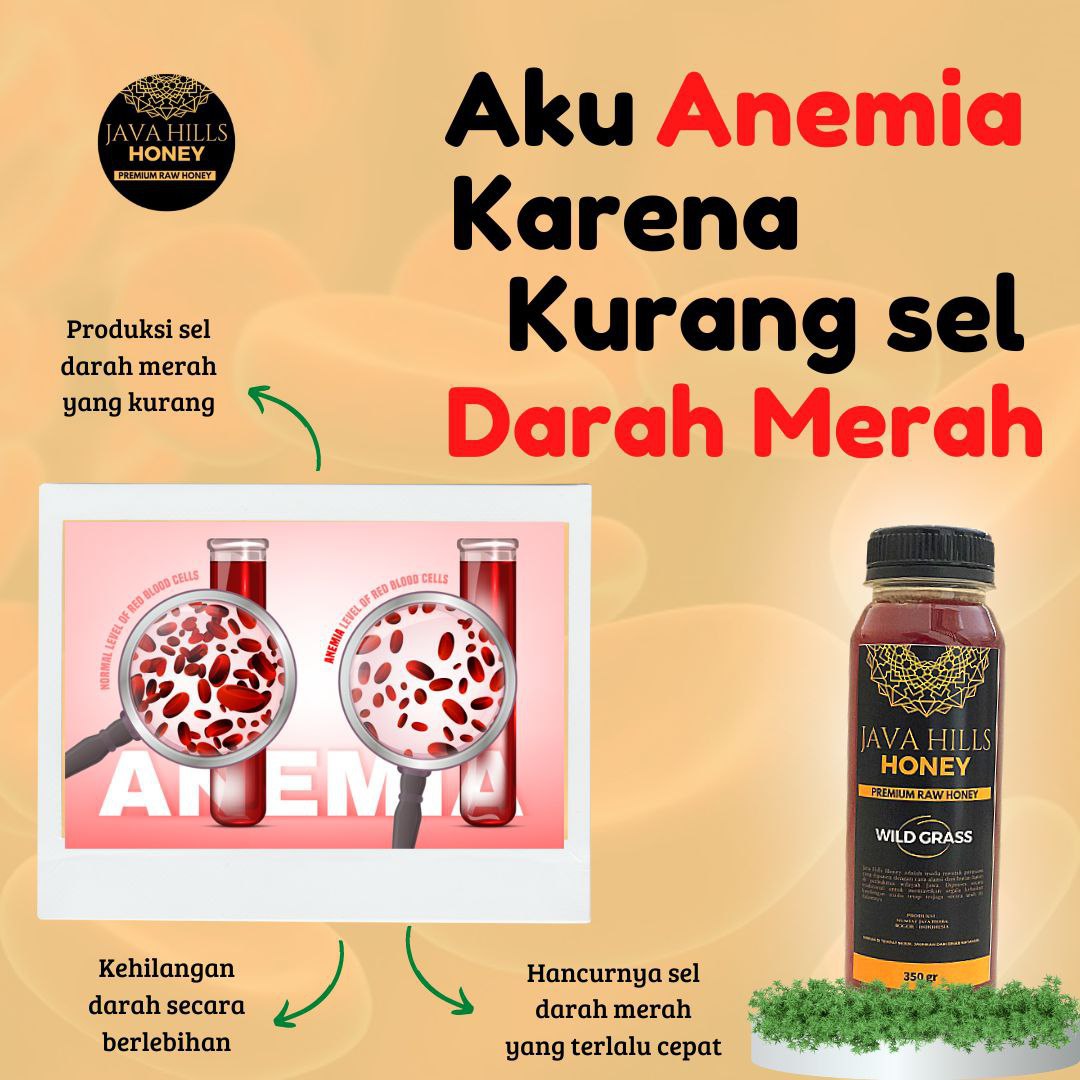 Madu Wild Grass Murni 350 Gram