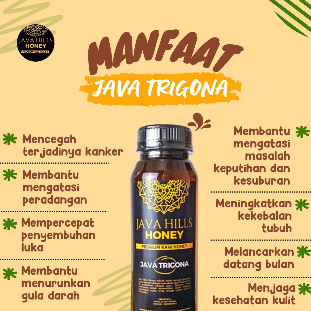 Madu Java Trigona Murni 350 Gram