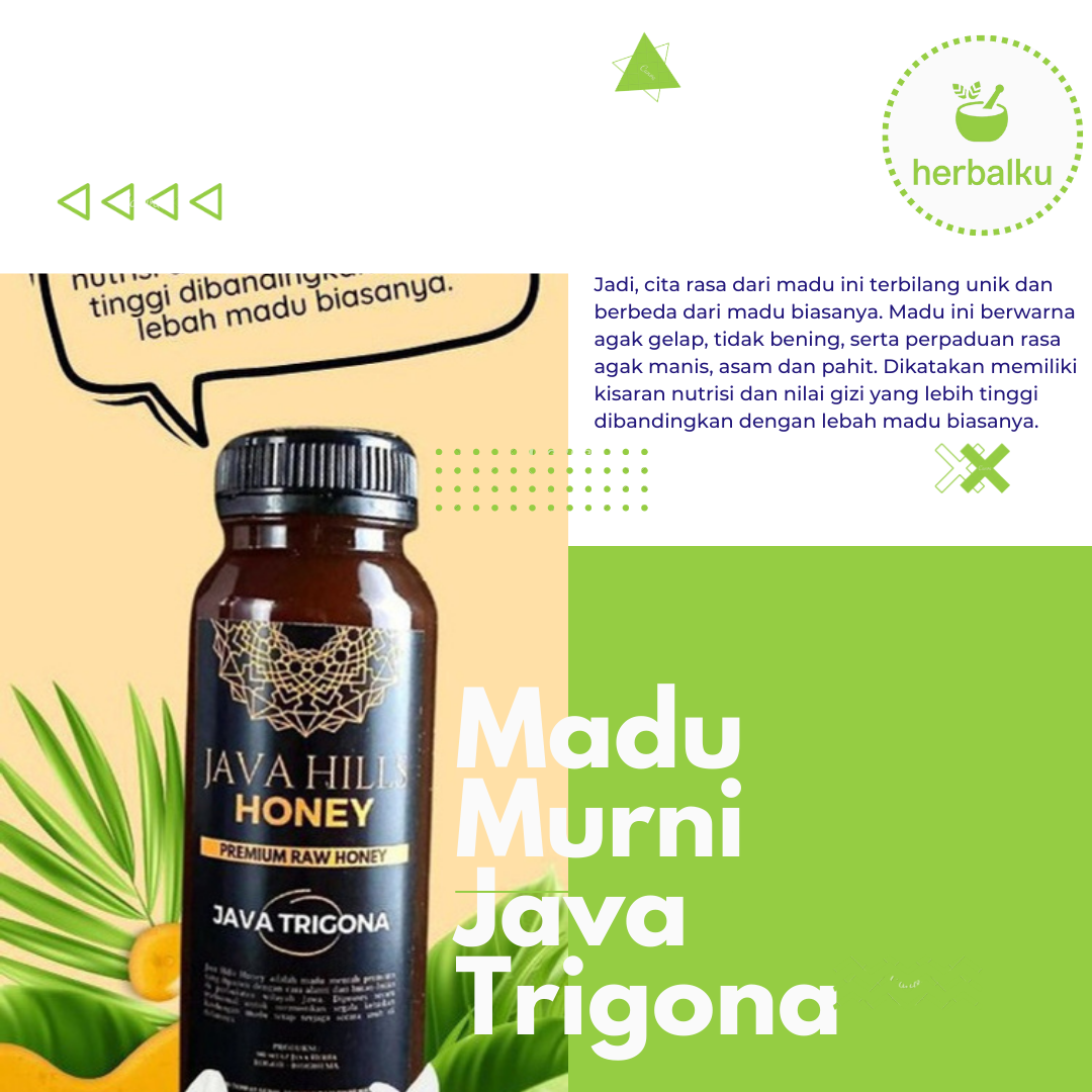 Madu Java Trigona Murni 350 Gram