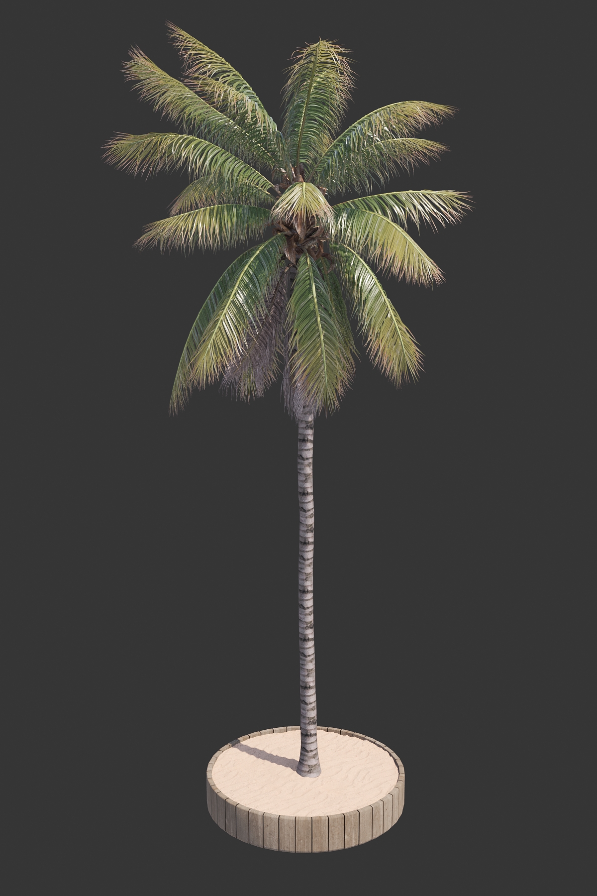 16. POHON KELAPA VOL 1 (COCONUT TREE)